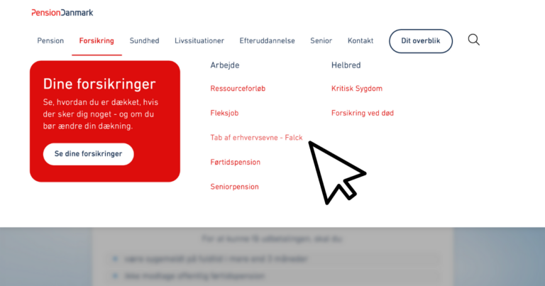 Tab af erhvervsevne forsikring til reddere i trekantområdet